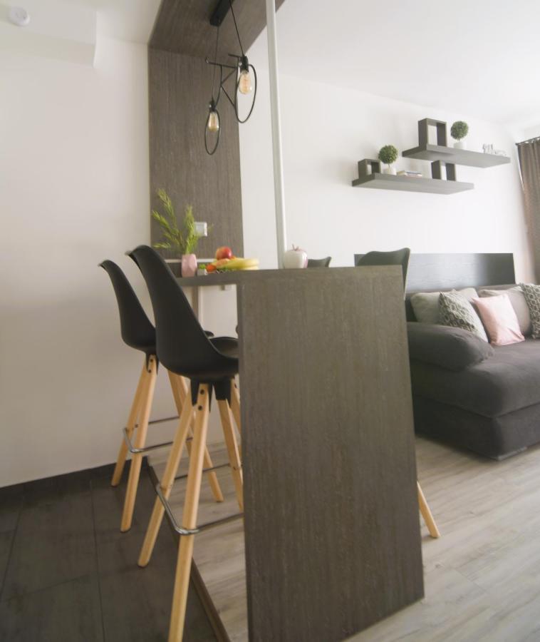 Tisza River Apartman セゲド エクステリア 写真
